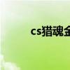 cs猎魂金骑（csol猎魂骑士好吗）