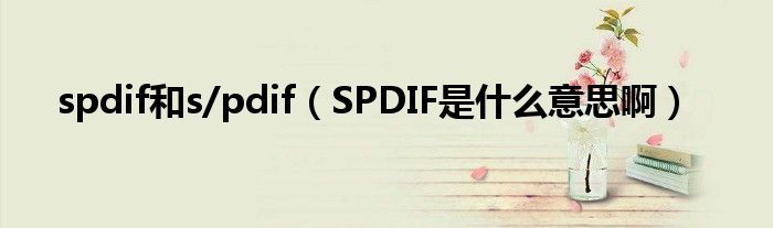 spdif和s/pdif（SPDIF是什么意思啊）