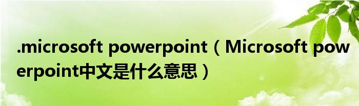 .microsoft powerpoint（Microsoft powerpoint中文是什么意思）
