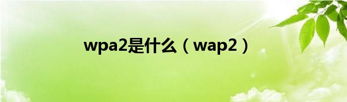 wpa2是什么（wap2）