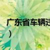 广东省车辆违章查询网（广东省车辆违章查询）