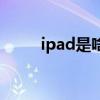 ipad是啥东西（ipad是什么东西）