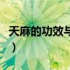 天麻的功效与作用吃法一天用量（天麻的功效）