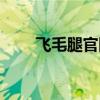 飞毛腿官网商城电池（飞毛腿官网）