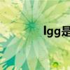 lgg是什么意思（lggd580）