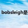 bobsleigh是什么意思（sleigh是什么意思）