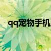 qq宠物手机版桌面领养（qq宠物手机版）