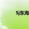 Sj东海为什么膝公痛（sj东海）