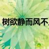 树欲静而风不止句子（树欲静而风不止下句）