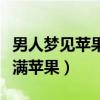 男人梦见苹果树上结满苹果（梦见苹果树上结满苹果）