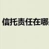 信托责任在哪些法律关系中存在（信托责任）