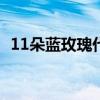 11朵蓝玫瑰代表什么意思（蓝玫瑰的含义）