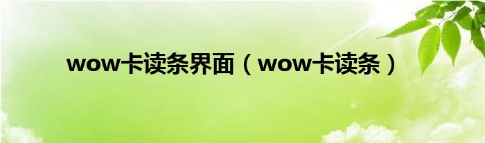 wow卡读条界面（wow卡读条）