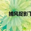 捕风捉影下一句（捕风捉影什么意思）