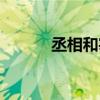 丞相和宰相有什么区别（丞相）