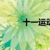 十一运动会作文400字（十一运）