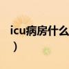 icu病房什么意思? 去回答（icu病房什么意思）