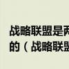 战略联盟是两个或两个以上企业为了一定的目的（战略联盟）