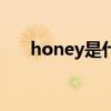 honey是什么意思（哈妮是什么意思）