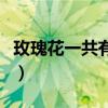 玫瑰花一共有多少种颜色（玫瑰花颜色的含义）