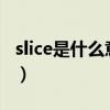 slice是什么意思英文翻译（slices是什么意思）