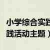 小学综合实践活动主题及其说明（小学综合实践活动主题）