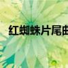 红蜘蛛片尾曲叫什么名字（红蜘蛛片尾曲）