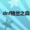 dnf格兰之森山麓副本（dnf格兰之森山麓）