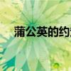 蒲公英的约定歌词全部（蒲公英的约定）