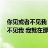 你见或者不见我 我就在那里 不悲不喜是什么歌（你见或者不见我 我就在那里）