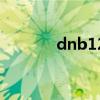 dnb1200焊机是多大（dnb）