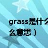 grass是什么意思英语怎么读音（grass是什么意思）