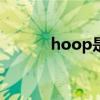 hoop是什么意思（hoopnba）