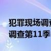 犯罪现场调查第11季至15季云盘（犯罪现场调查第11季）