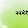 qq宠物app（qq宠物客户端）