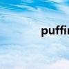 puffin赛尔号（赛尔号扶来）