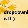 dropdownlist1输入自动匹配（dropdownlist1）