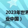 2023年世界500强企业中国（世界500强企业中国）