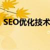 SEO优化技术以搜狐网为例（seo优化技术）