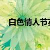 白色情人节英文文案（白色情人节 英文）