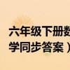 六年级下册数学同步答案全册（六年级下册数学同步答案）