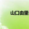 山口由里子平田广明（山口由里子）