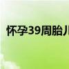 怀孕39周胎儿图片真实（怀孕39周胎儿图）