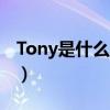 Tony是什么意思英语翻译（tony是什么意思）