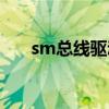 sm总线驱动不安装会怎样（sm总线）