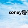 soney是什么意思（sonia什么意思）