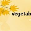 vegetables怎么读（vegetables）