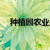 种植园农业是自给农业吗（种植园农业）