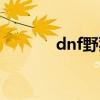 dnf野猪套装（dnf野猪护肩）