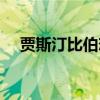 贾斯汀比伯恋情（贾斯汀比伯订婚对象）